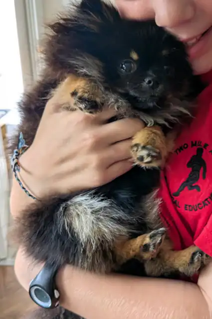 Before transformation