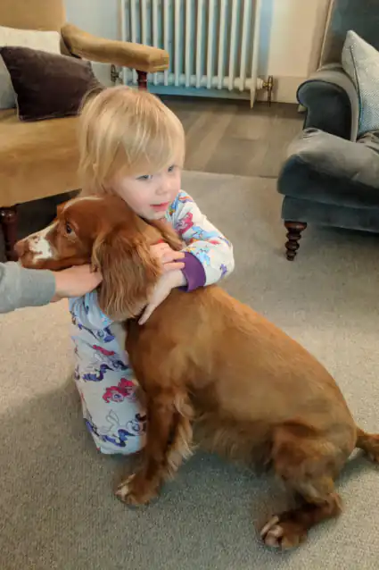 Before transformation